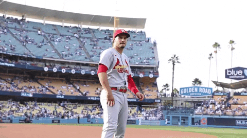 Cardinals player Nolan Arenado gives a thumbs up to fans at the baseball field