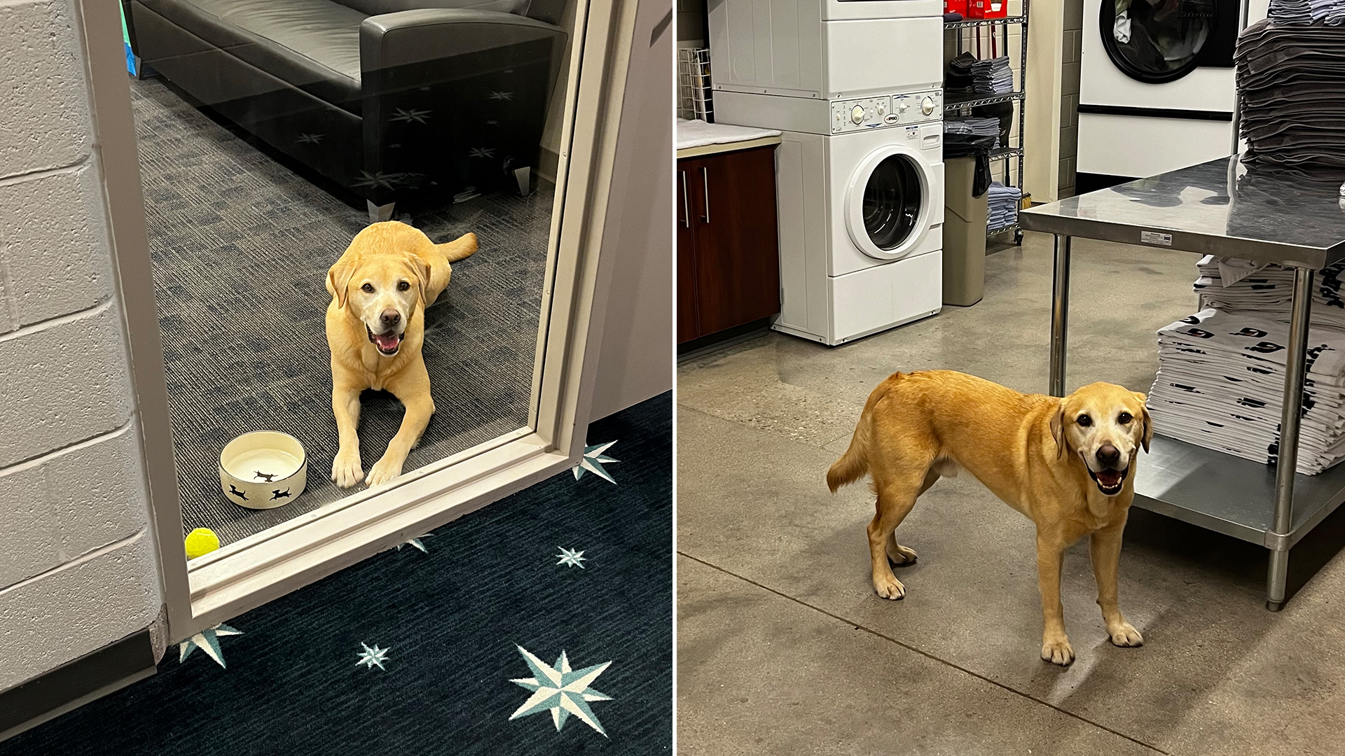 Tucker in the Mariners' facilities