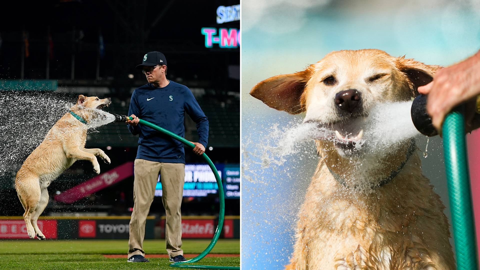 Tucker playing with the grounds crew's hose