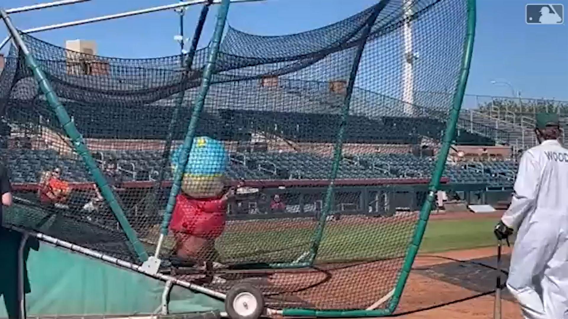 A batting cage on the field, with a batter in a puffy costume featuring a round blue and white head and red body