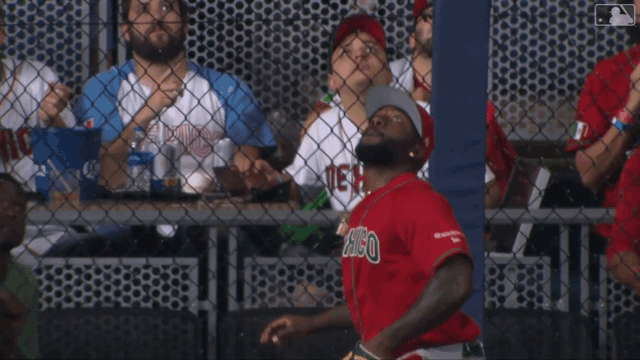 An animated gif of Randy Arozarena leaping at the fence to rob a home run and posing afterward