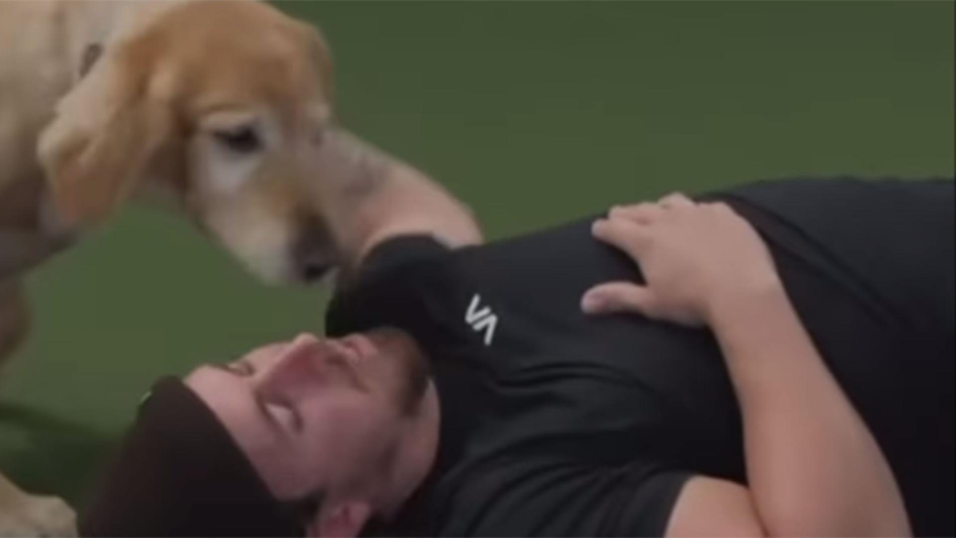 A dog sniffs a player lying on the ground